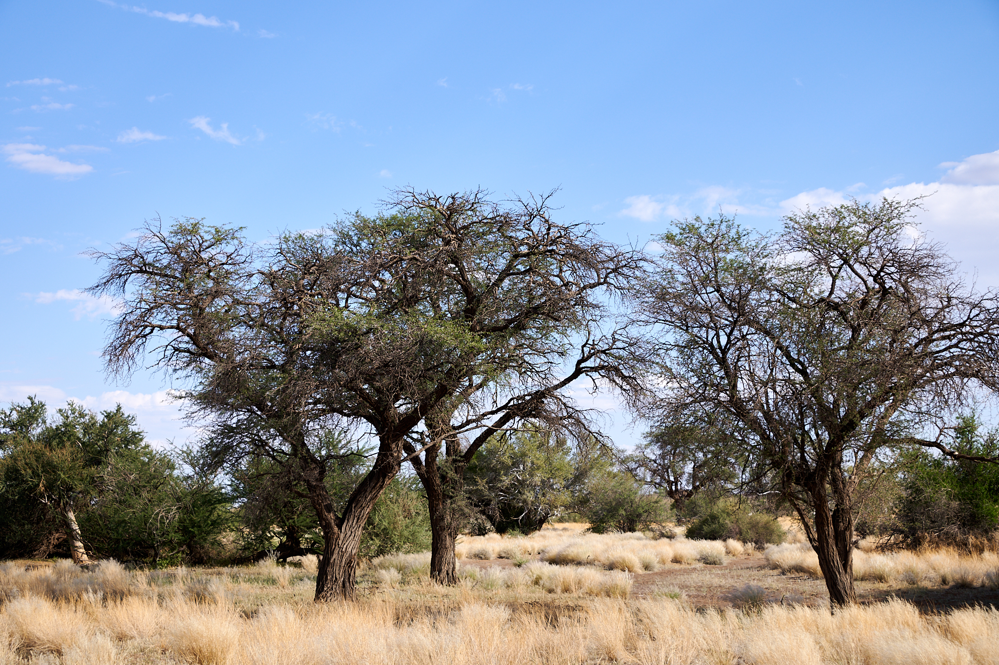 Namibie