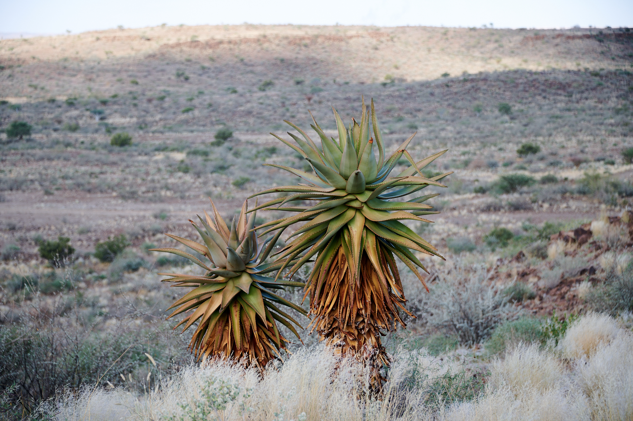 Namibie