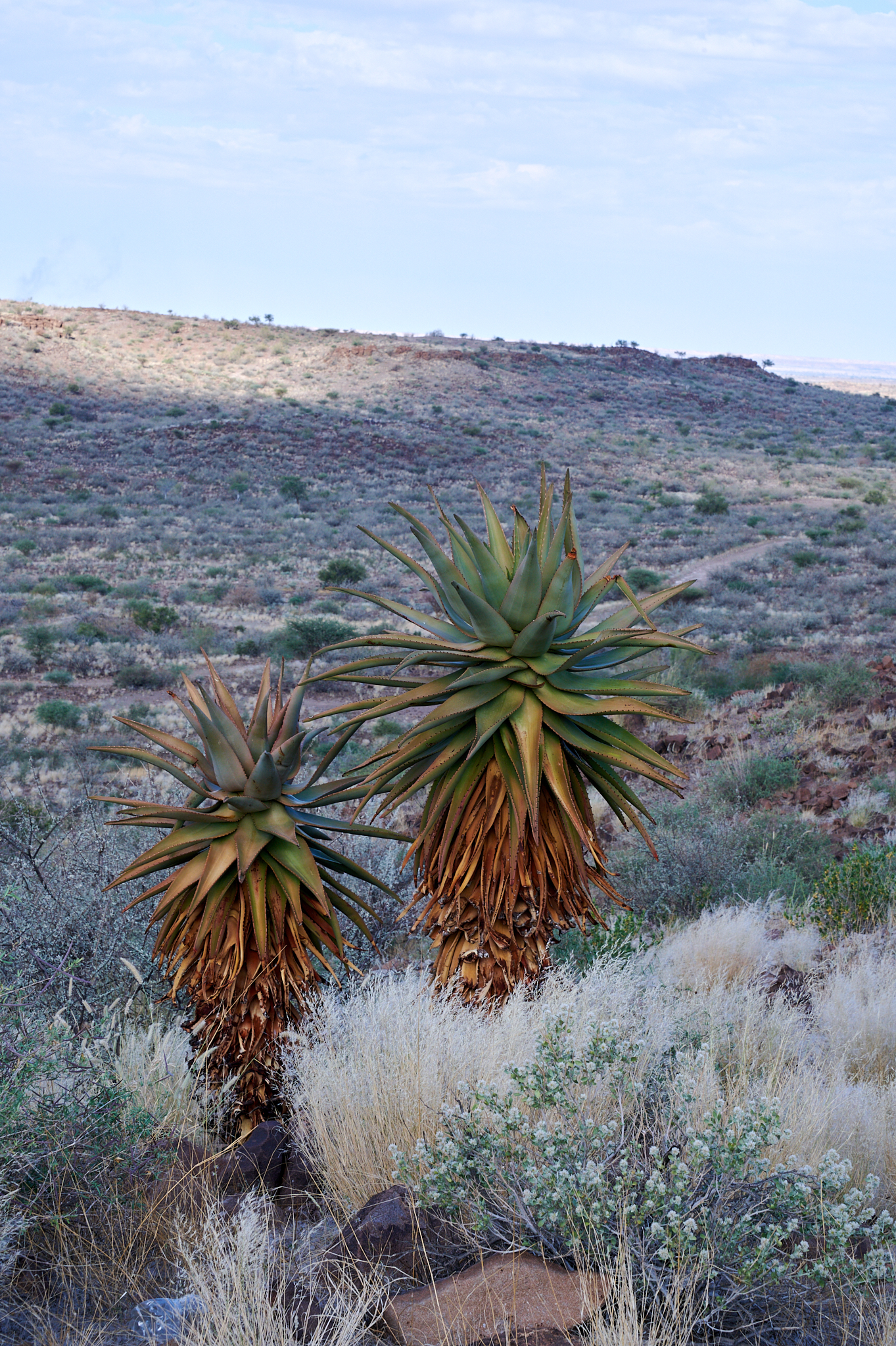 Namibie