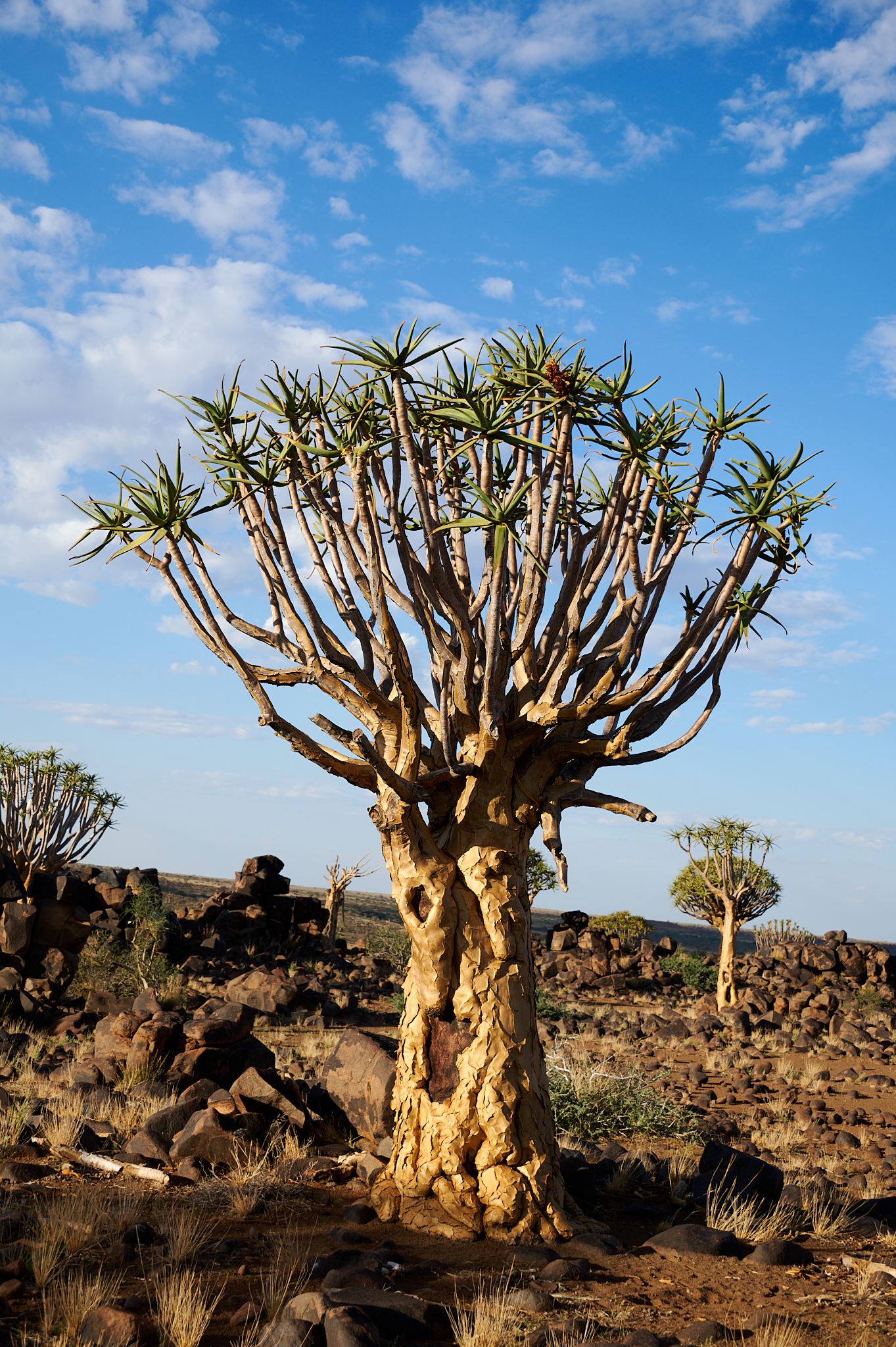 Namibie