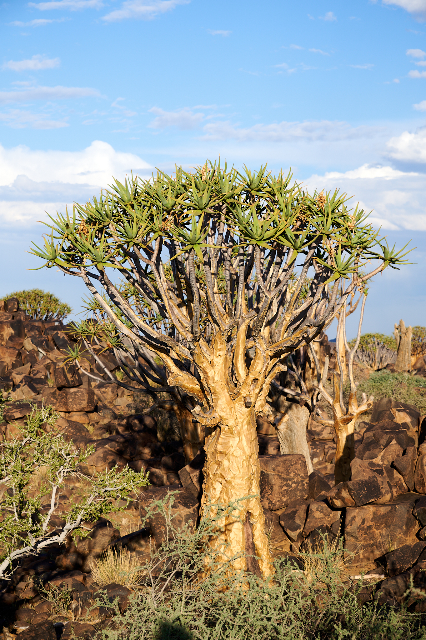 Namibie