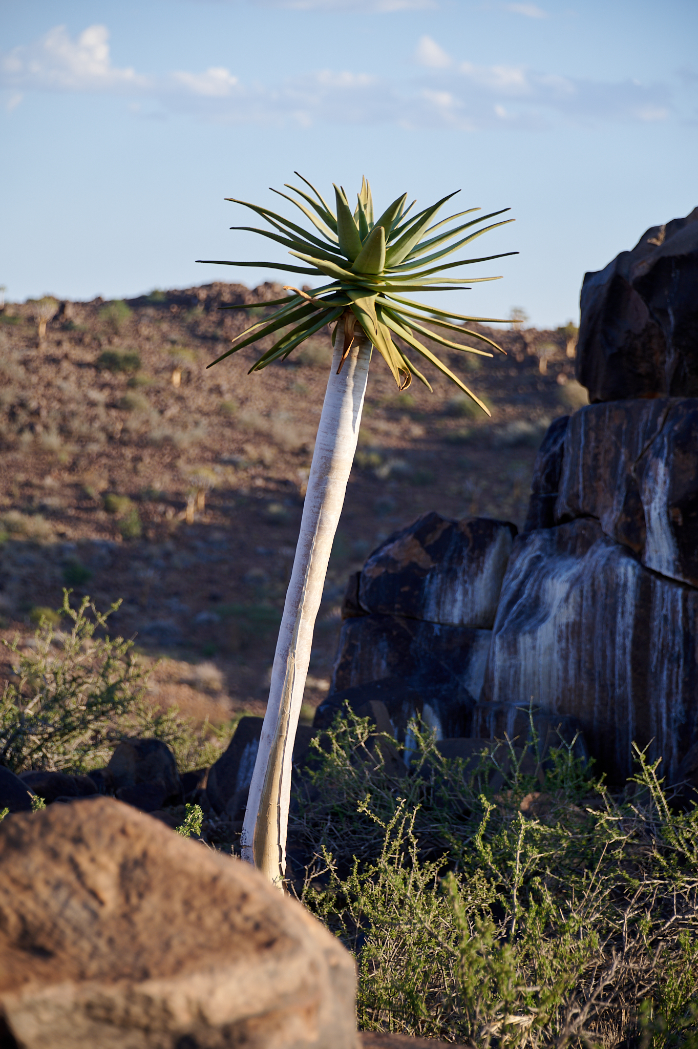 Namibie