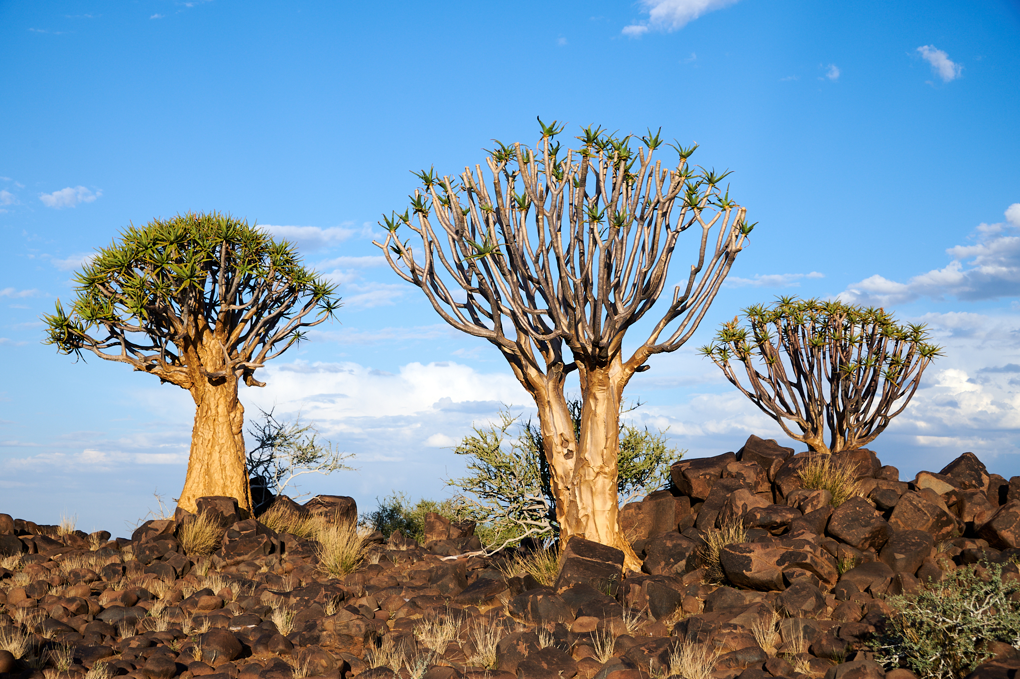 Namibie