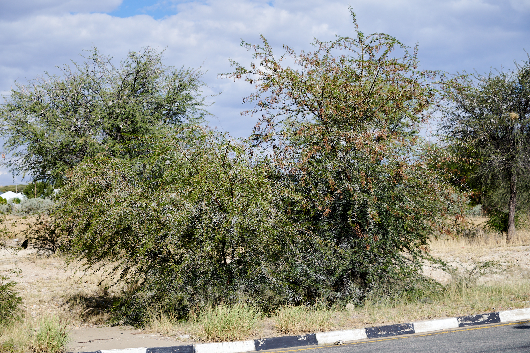 Namibie